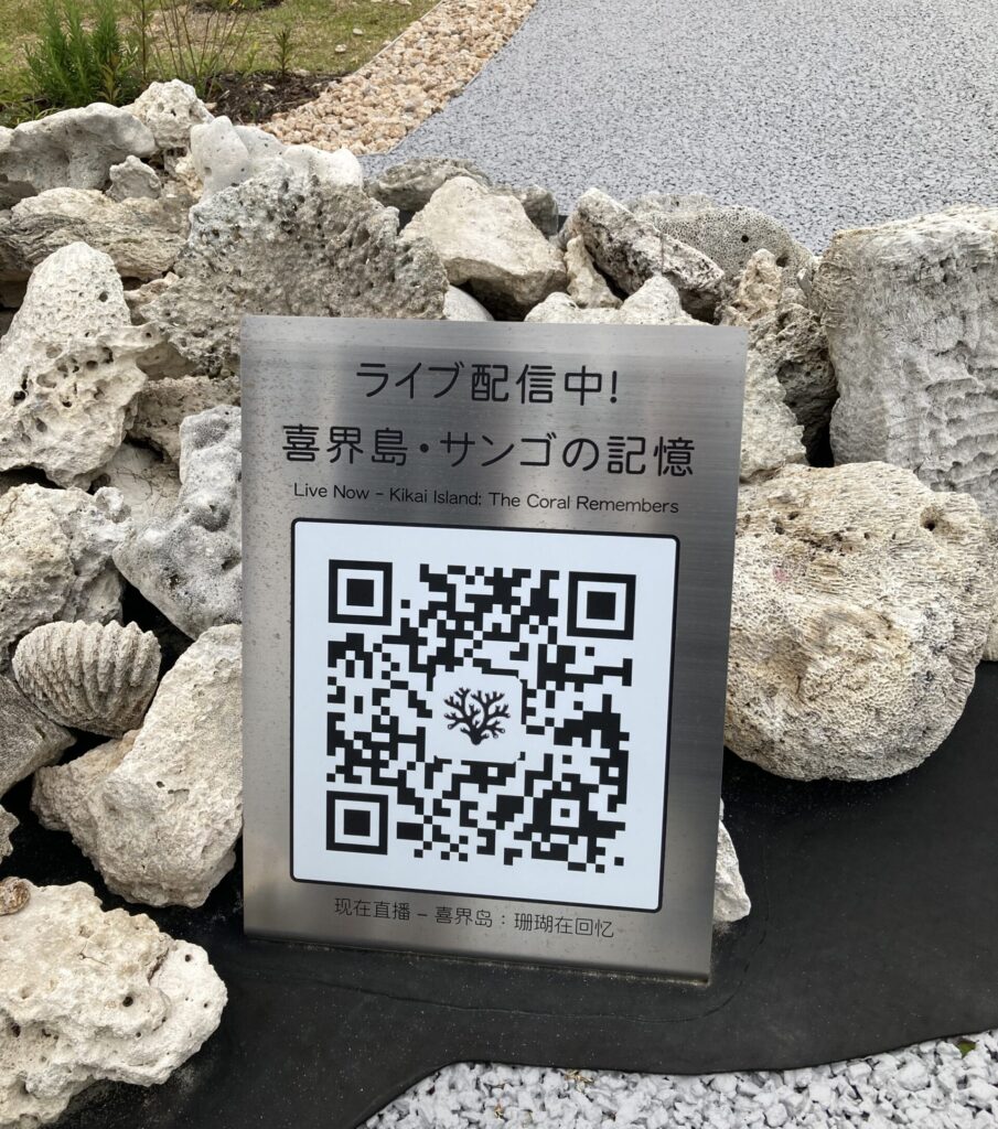 喜界島・サンゴの記憶ライブ配信中