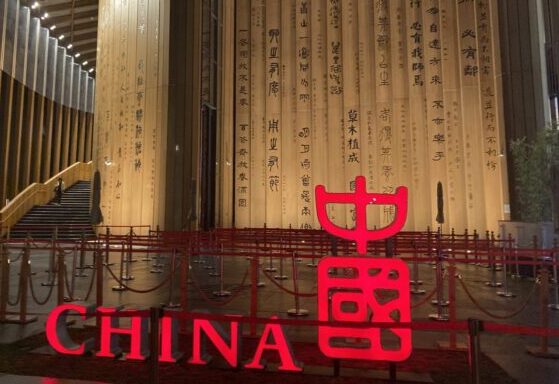 中国ﾊﾟﾋﾞﾘｵﾝ