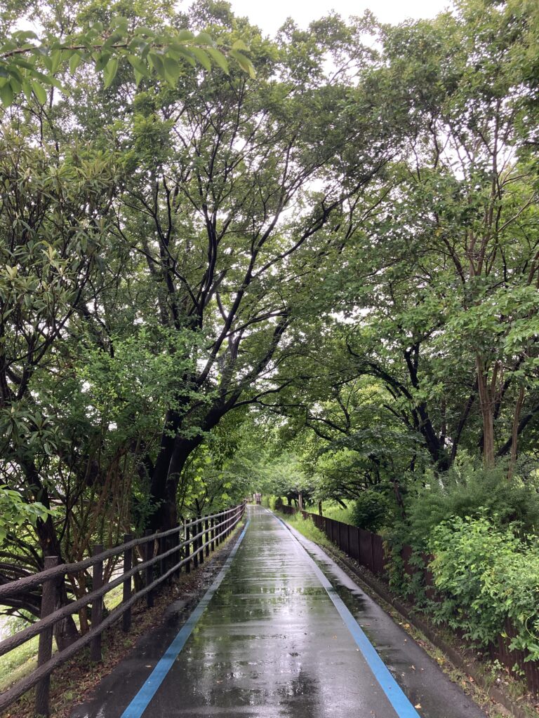 歩行者道路