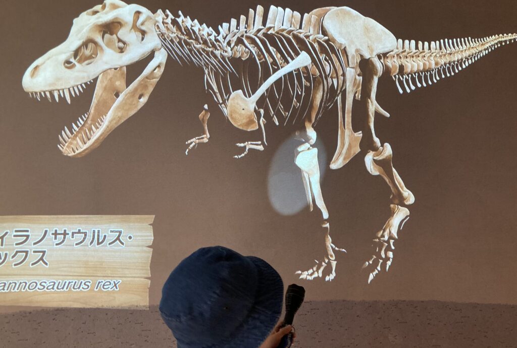 福井パビリオン