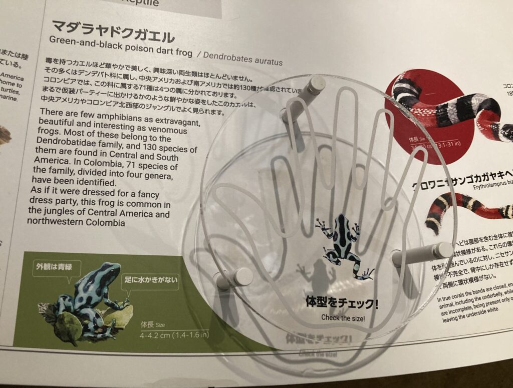 コロンビアパビリオン