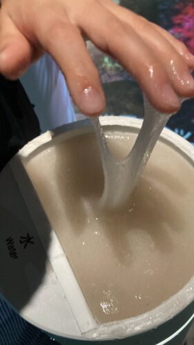 コロンビアパビリオン