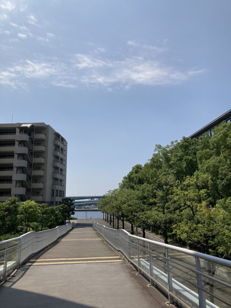 兵庫県立美術館(右)