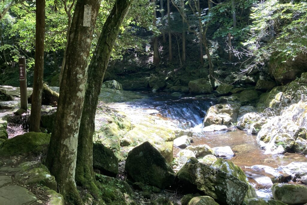赤目滝⑫骸骨滝