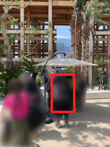 ｻｳｼﾞｱﾗﾋﾞｱﾊﾟﾋﾞﾘｵﾝのｽﾀﾝﾌﾟ設置場所