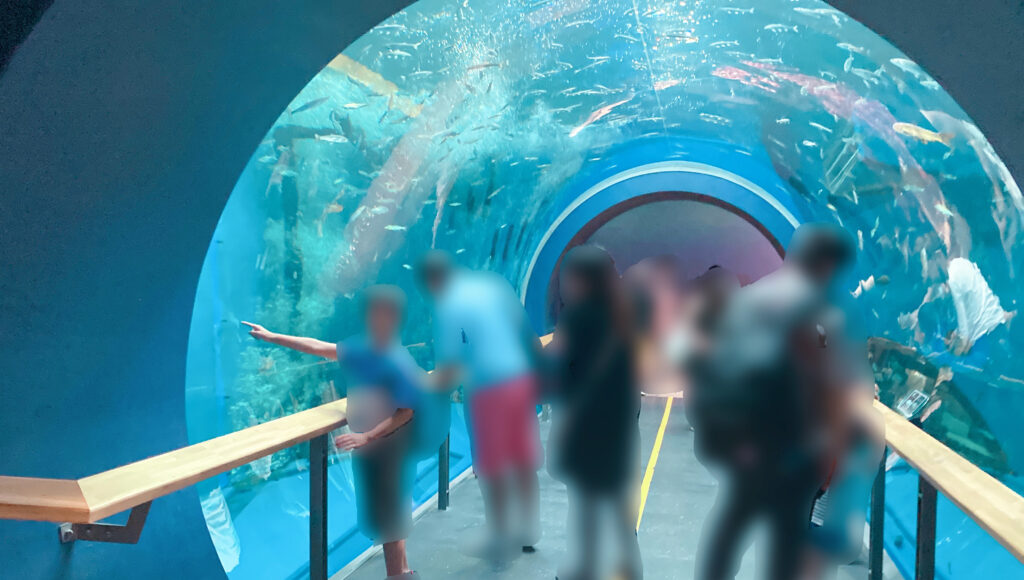 琵琶湖博物館 ﾄﾝﾈﾙ水槽