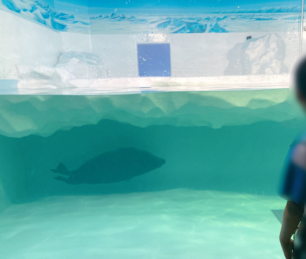 琵琶湖博物館 ﾊﾞｲｶﾙｱｻﾞﾗｼ