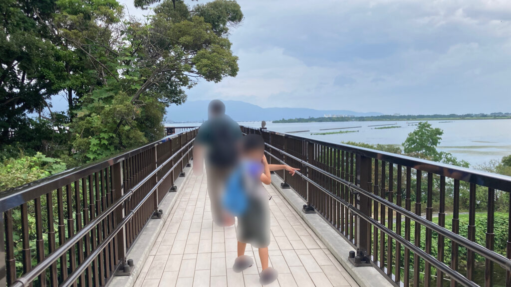 琵琶湖博物館 琵琶湖へのﾙｰﾄ