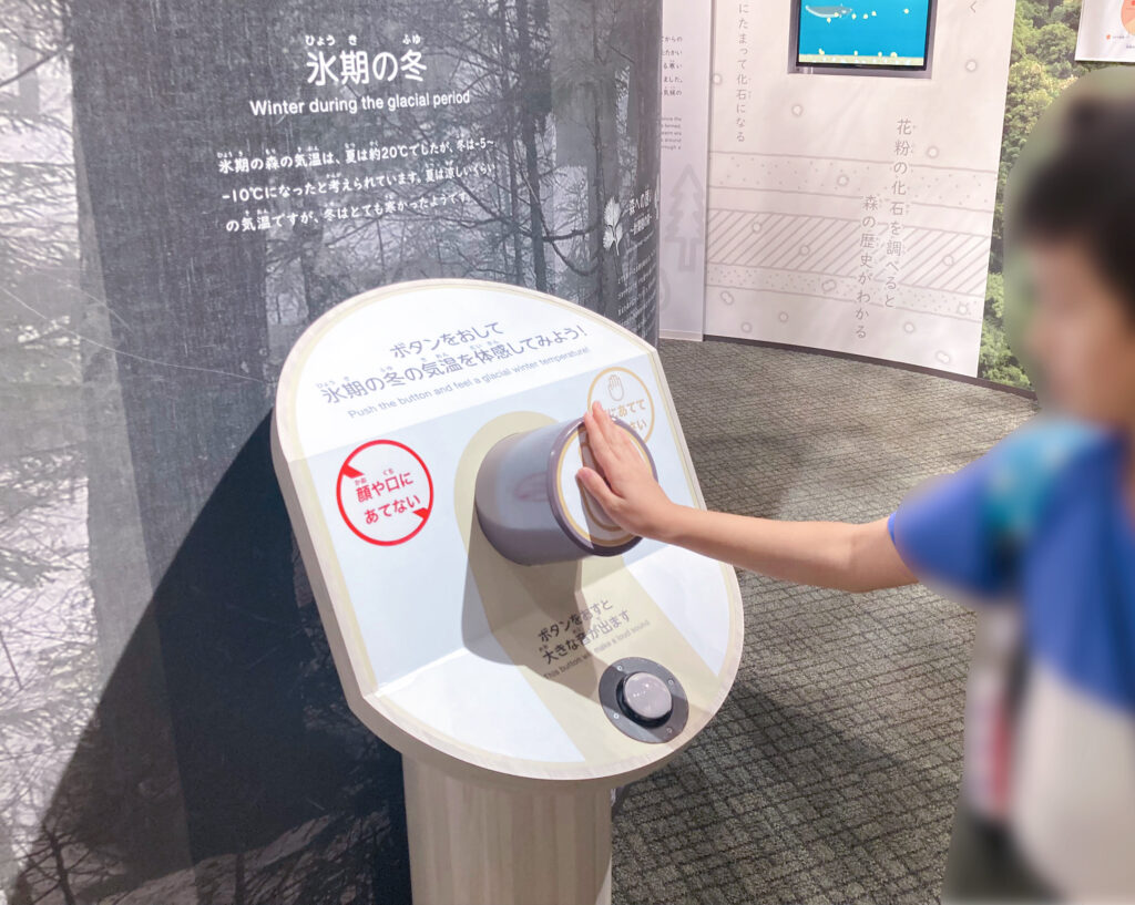 琵琶湖博物館　A展示室