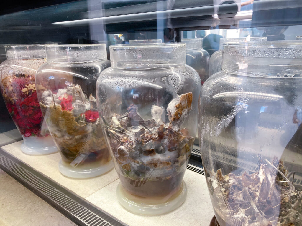 いのちめぐる冒険ﾘｱﾘﾃｨ展示