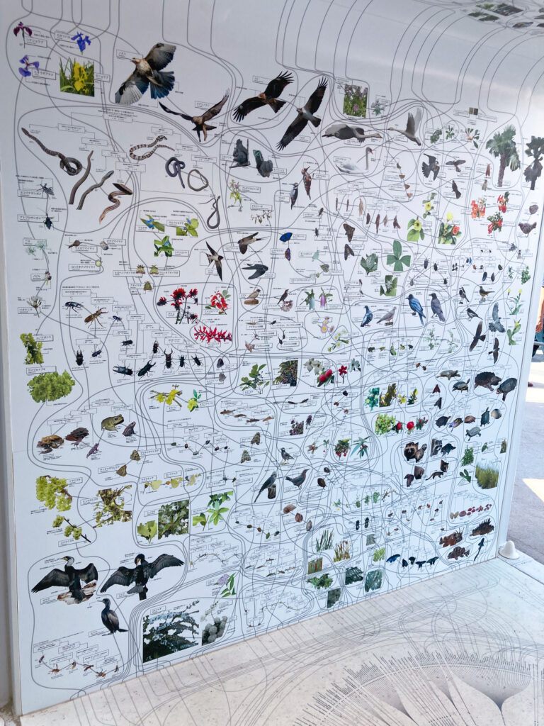 いのちめぐる冒険ﾘｱﾘﾃｨ展示