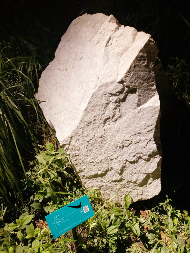 しずけさの森ﾋｽｲ原石
