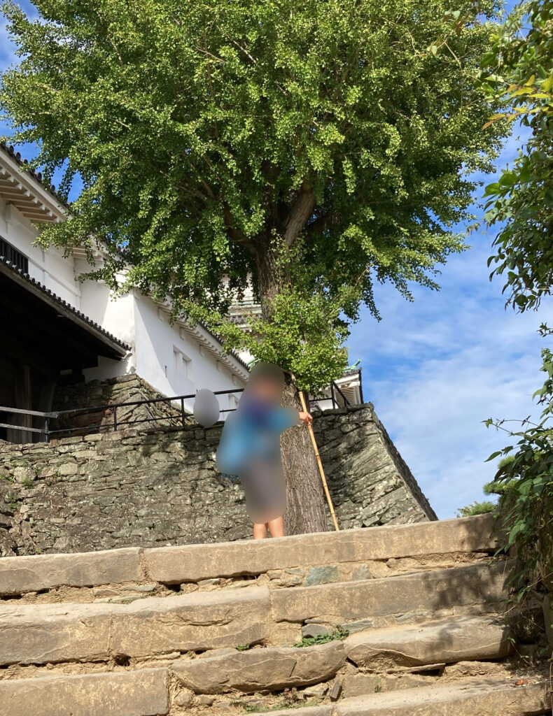 和歌山城