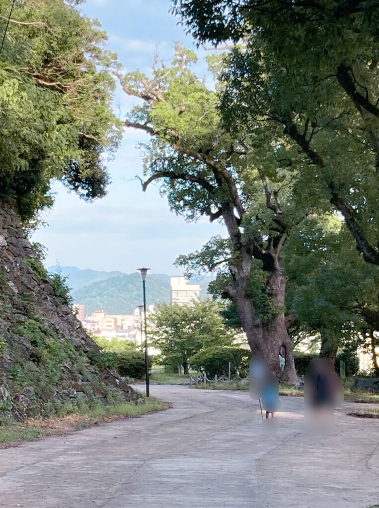 和歌山城