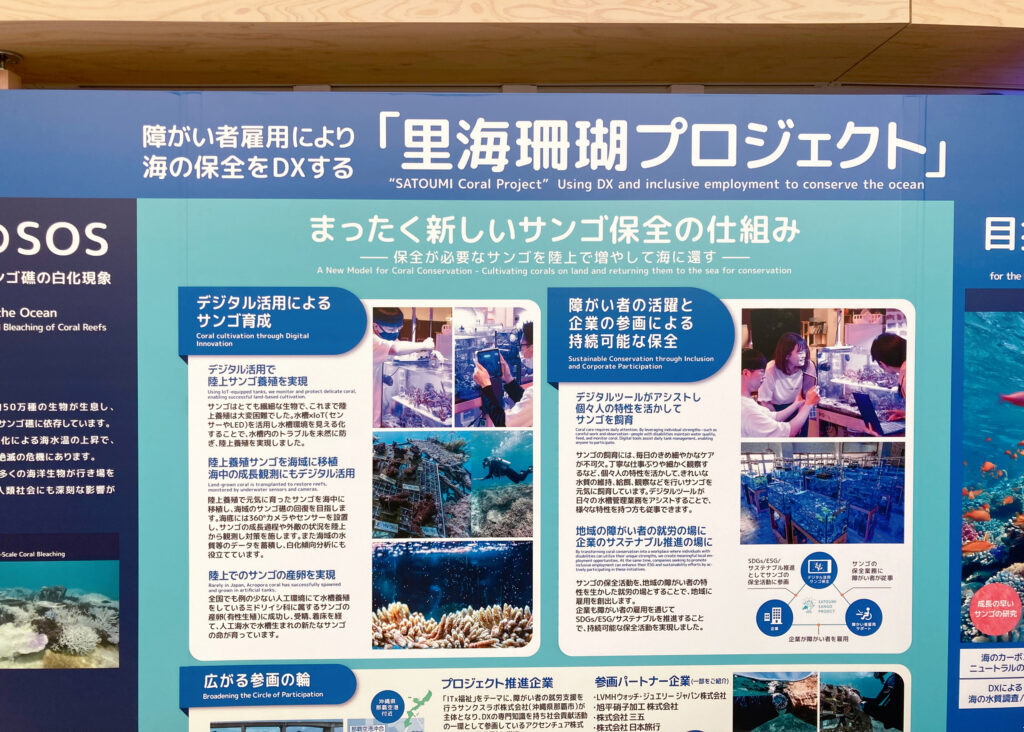 ブルーオーシャンドーム