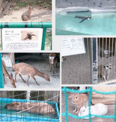 和歌山城 無料動物園