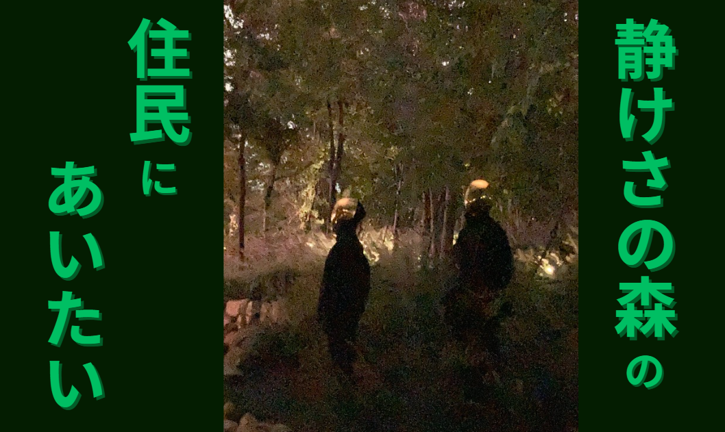 静けさの森の住民にあいたい