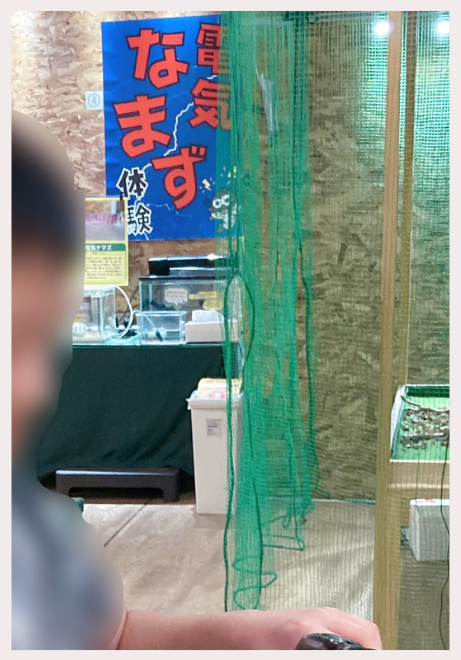 ビリッ！電気ナマズ体験