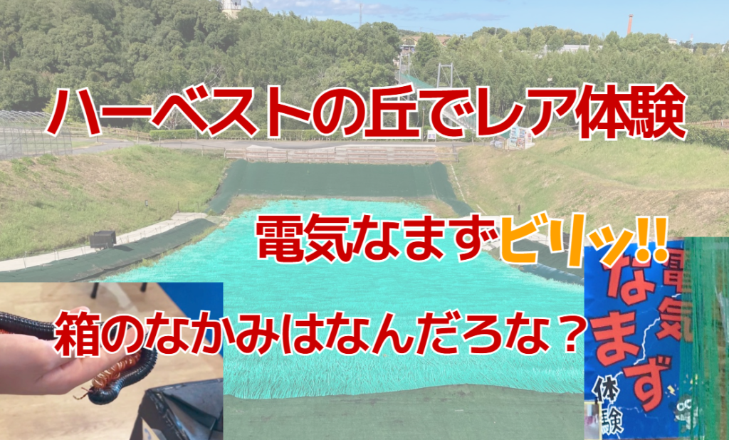ハーベストの丘でレア体験　電気なまずビリッ!!　箱のなかみはなんだろな？
