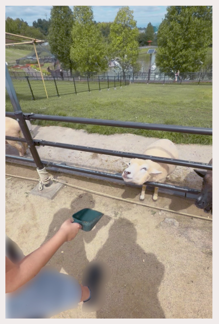 はーい、おやつの時間よ~