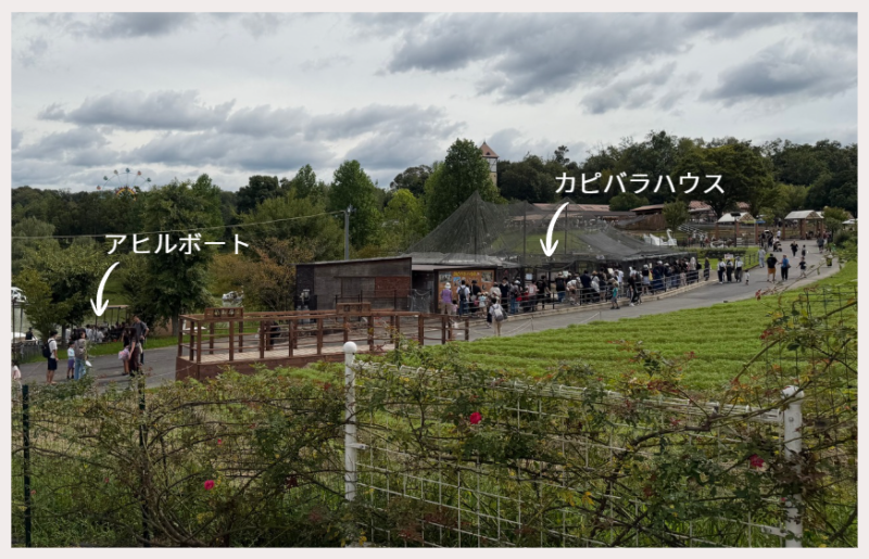 もうすぐ12:30ふれあいスタートだ