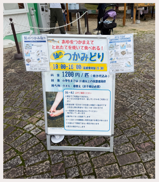 すぐ食べれる!鮎のつかみ取り