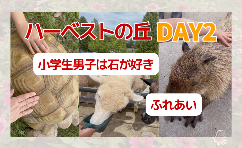 【小学生男子は石が好き！】宝石ハンターやっちゃおう！巨大亀やカピバラとのふれあう｜小5の息子とハーベストの丘DAY2